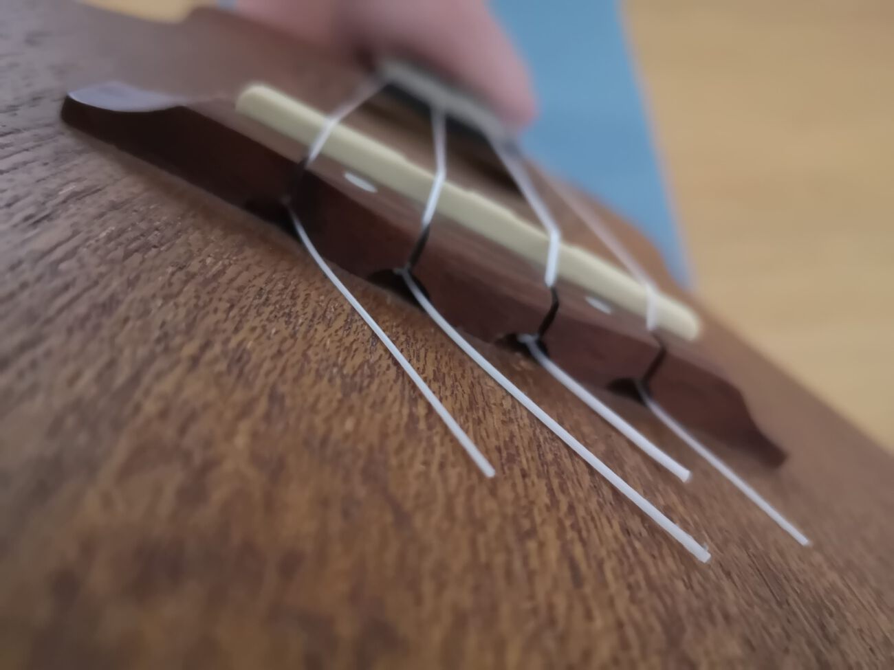 Saiten für die Ukulele finden Ratgeber bandup